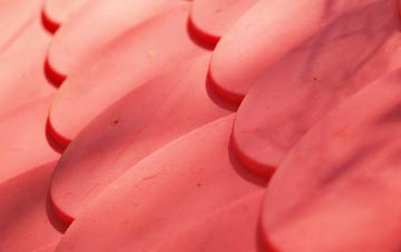 Marfleet plastic roof costs